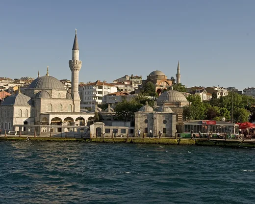 Sur cette mosquée d'Istanbul, les oiseaux ne se posent pas