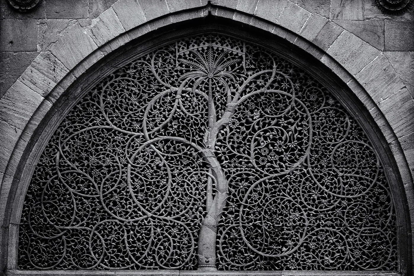 L'arbre de vie taillé dans la pierre de la mosquée Sidi Saiyyed