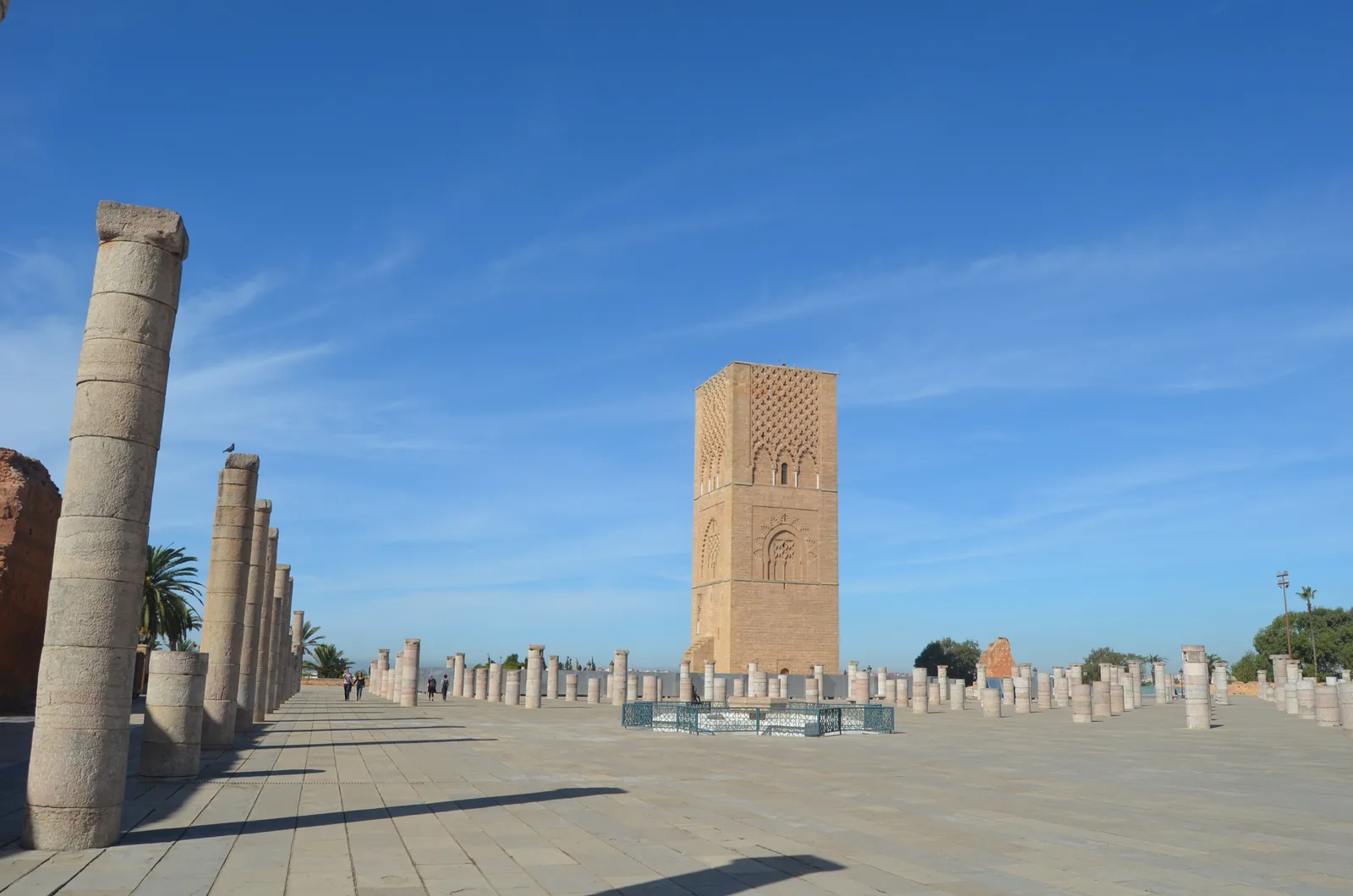 La forêt de colonnes tronquées de la Tour Hassan à Rabat