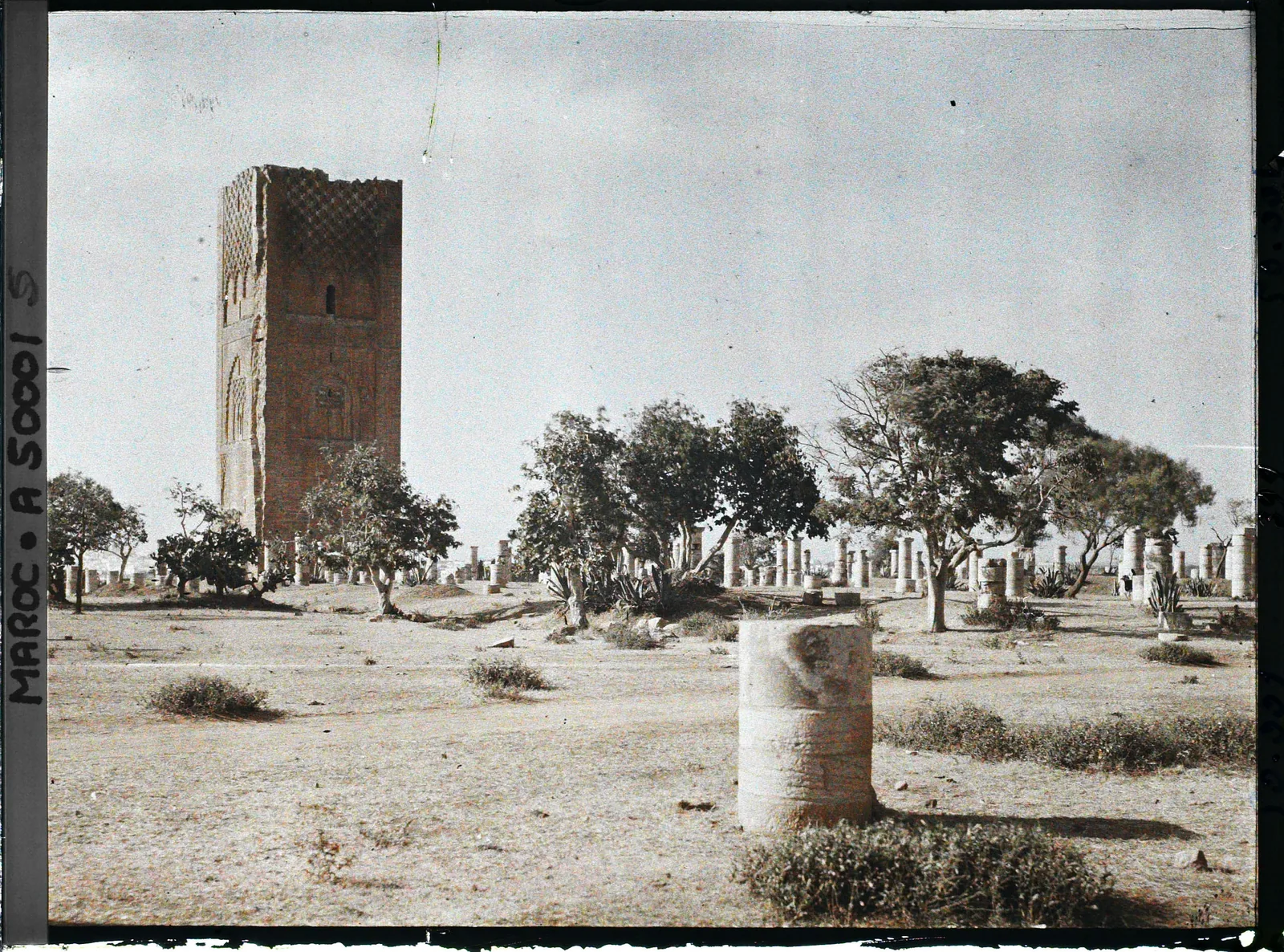 Archive : les colonnes au ras du sol avant dégagement