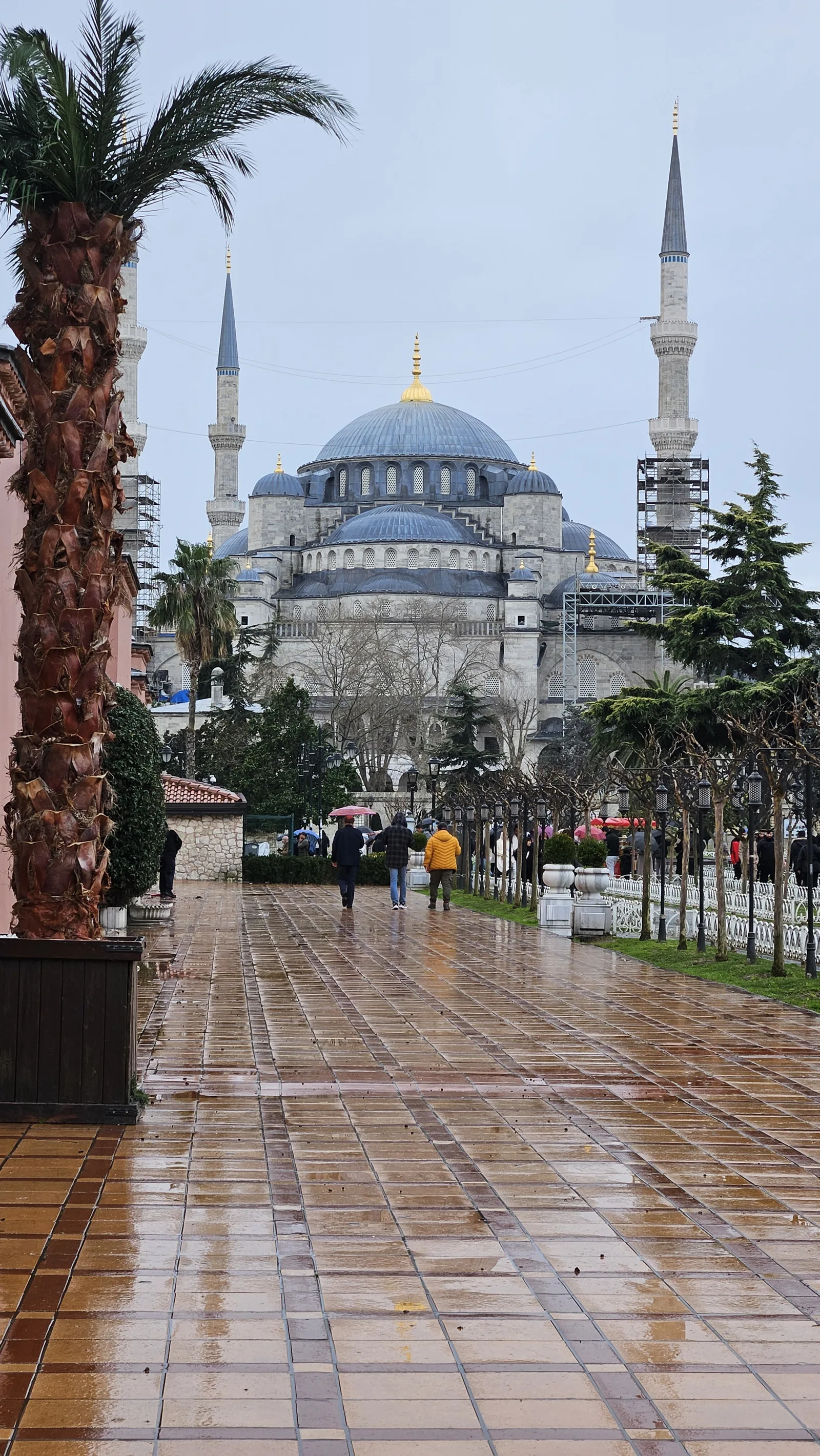 Mosquée bleue (Sultan Ahmed) — 20260212 Istanbul 01 (83497)