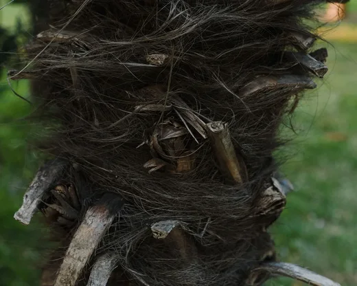 La première version était en troncs de palmiers