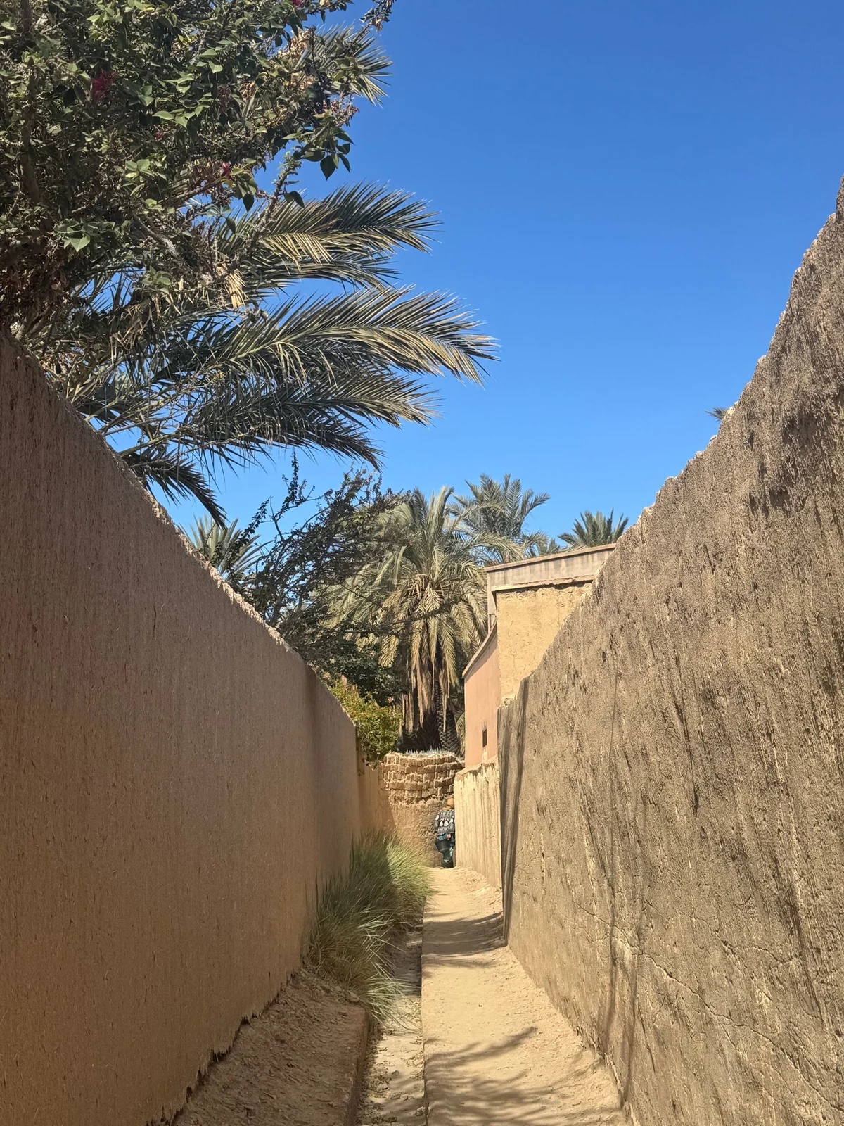 Une cour de mosquée