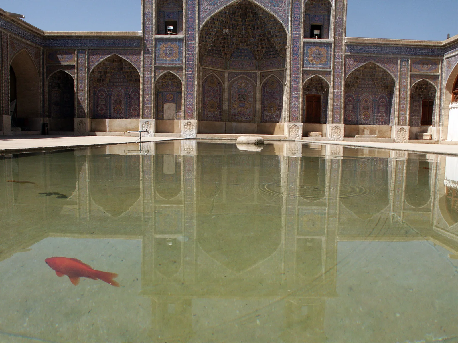 Mosquée Nasir al-Mulk — Fish in the bowl (3363522836)