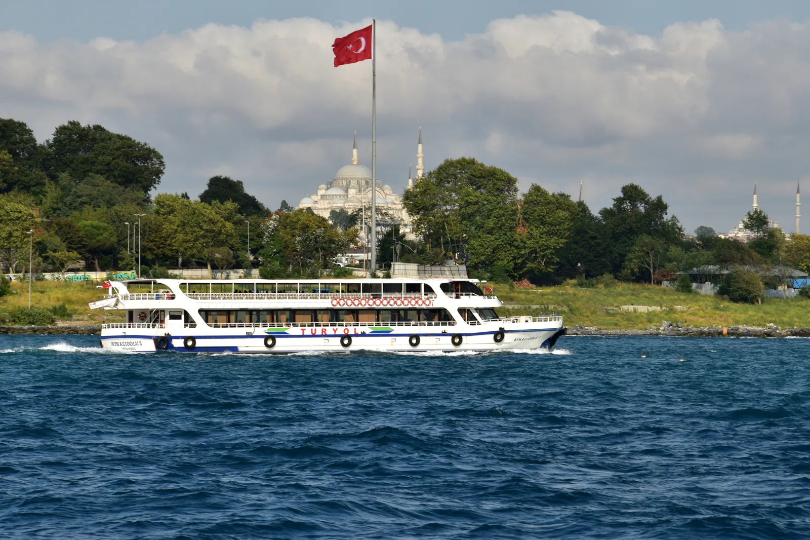 Mosquée Süleymaniye — Turkish pride (36402055901)