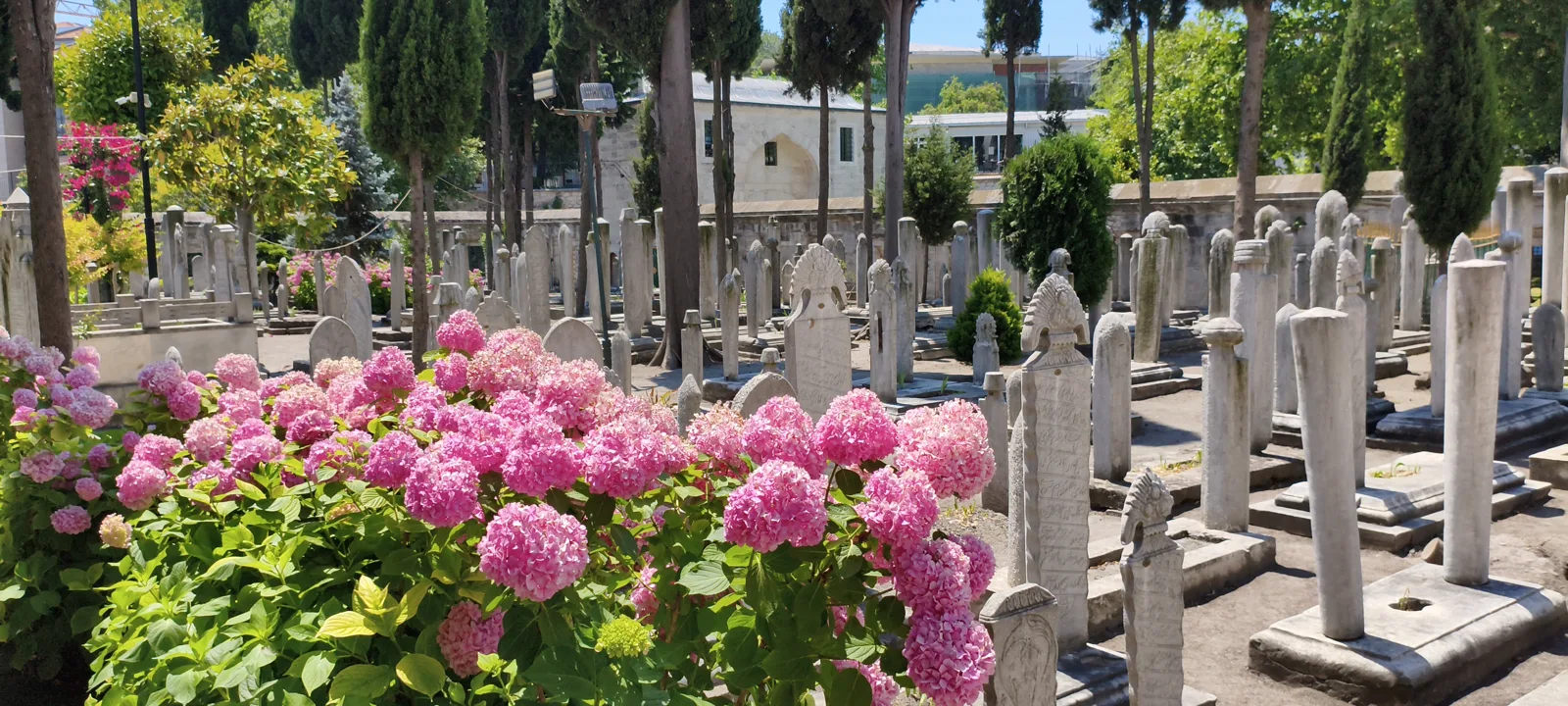 Mosquée Süleymaniye — Süleymaniye Camii Haziresi (37561)
